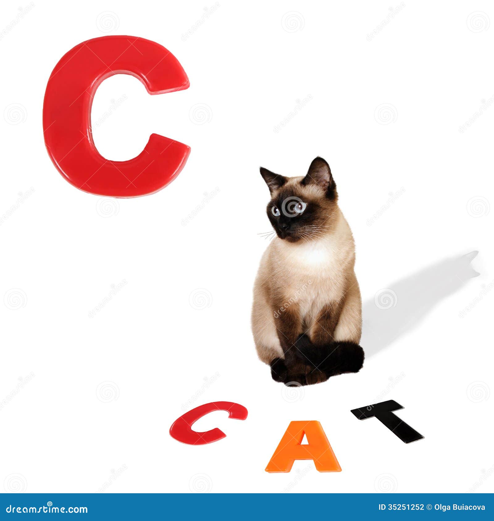 cat alphabet clipart - photo #30