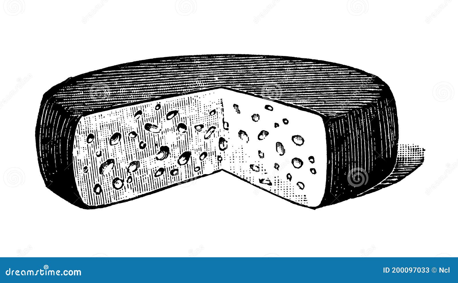 Illustrated cheese wheel stock image. Image of drawn 200097033
