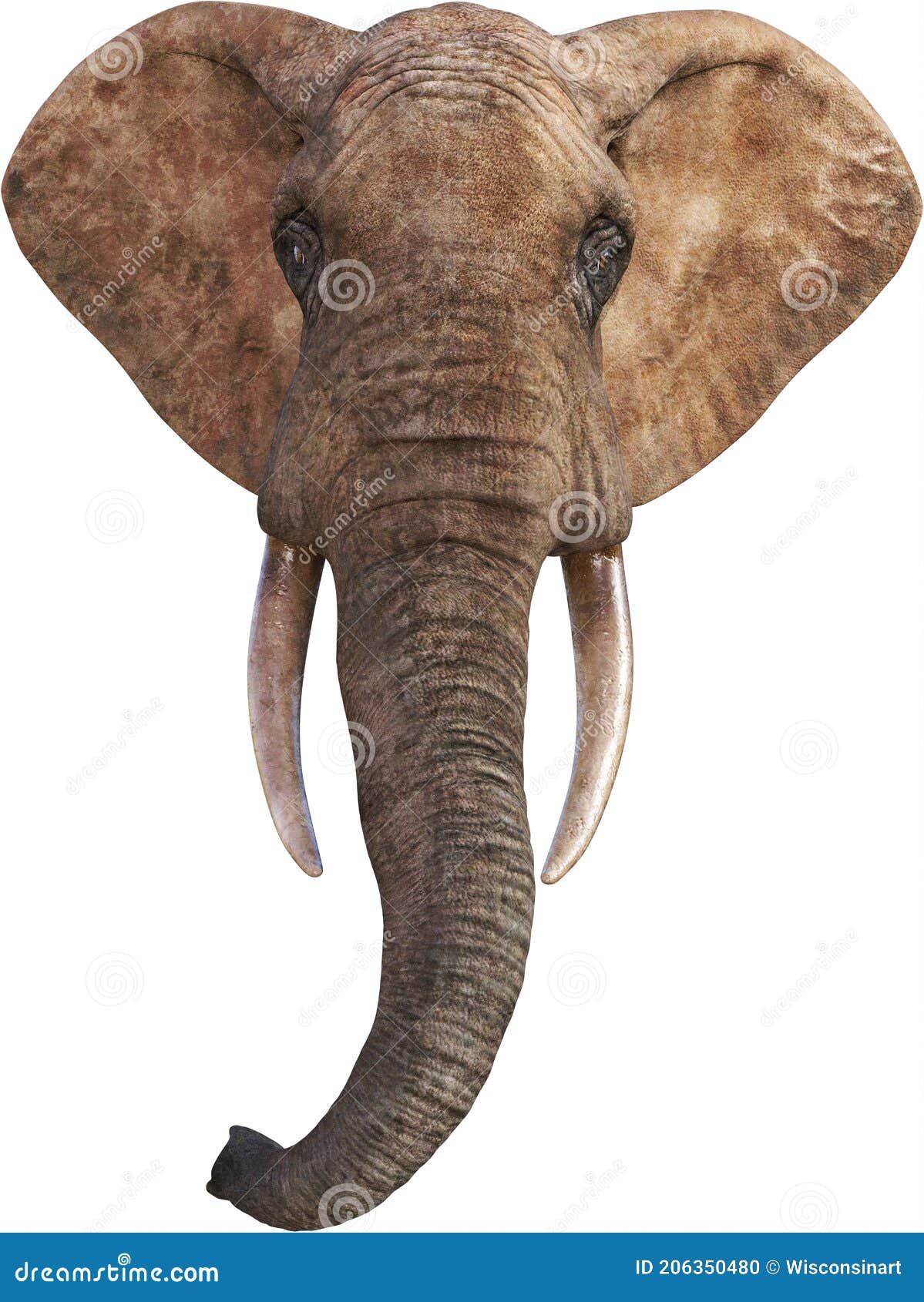 African Elephant Wildlife Hread, Isolated Stock Photo - Illustration of  ivory, trunk: 206350480