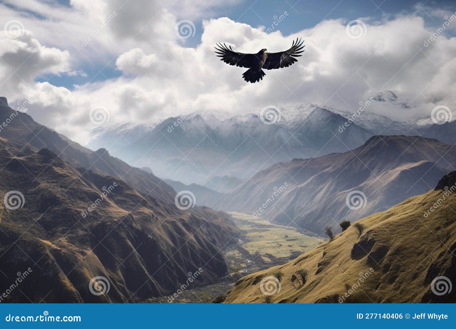  of an andean condor coasting in the mountains of south america