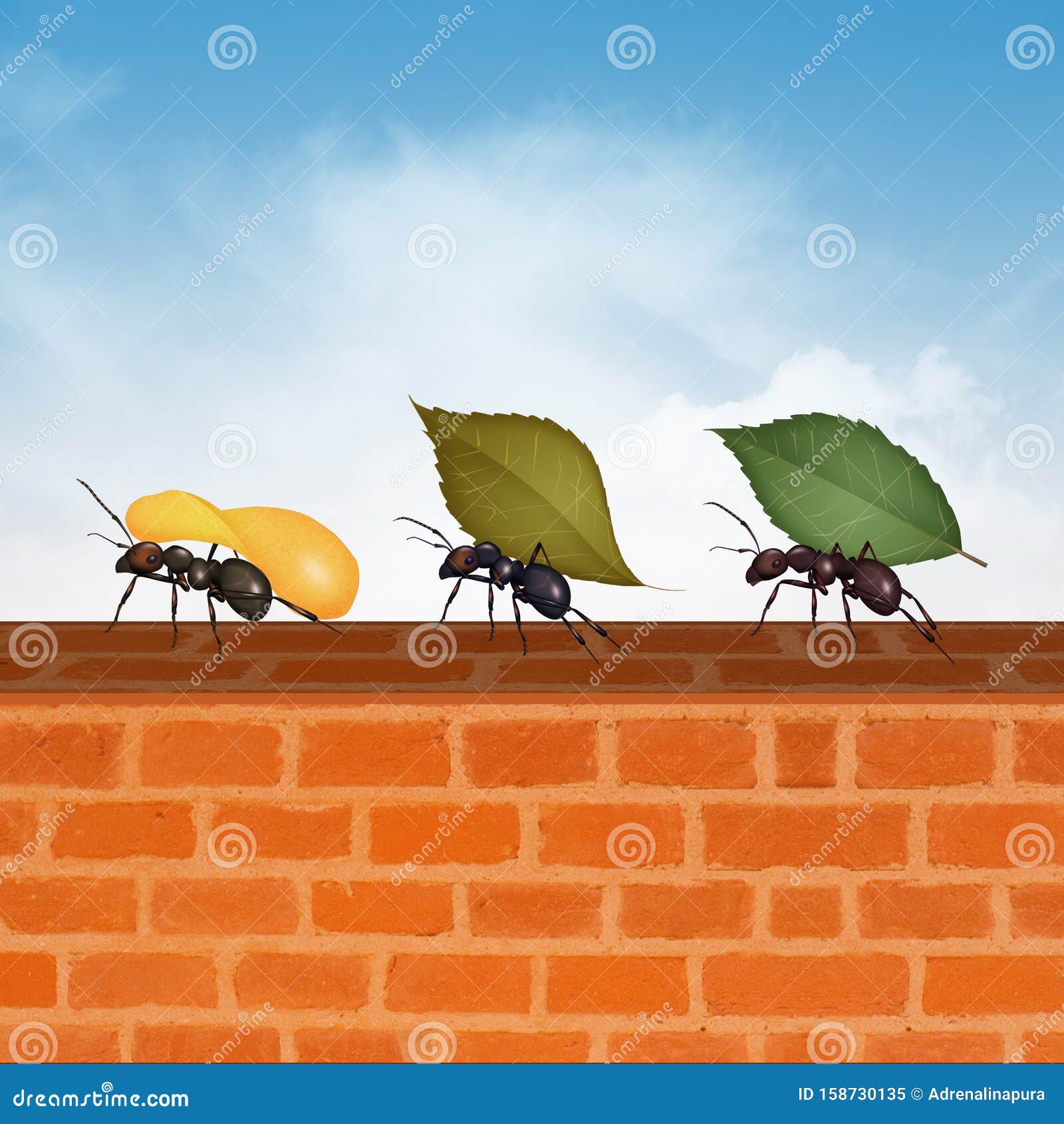 Illustration of Ants with Crumbs Stock Illustration Illustration of