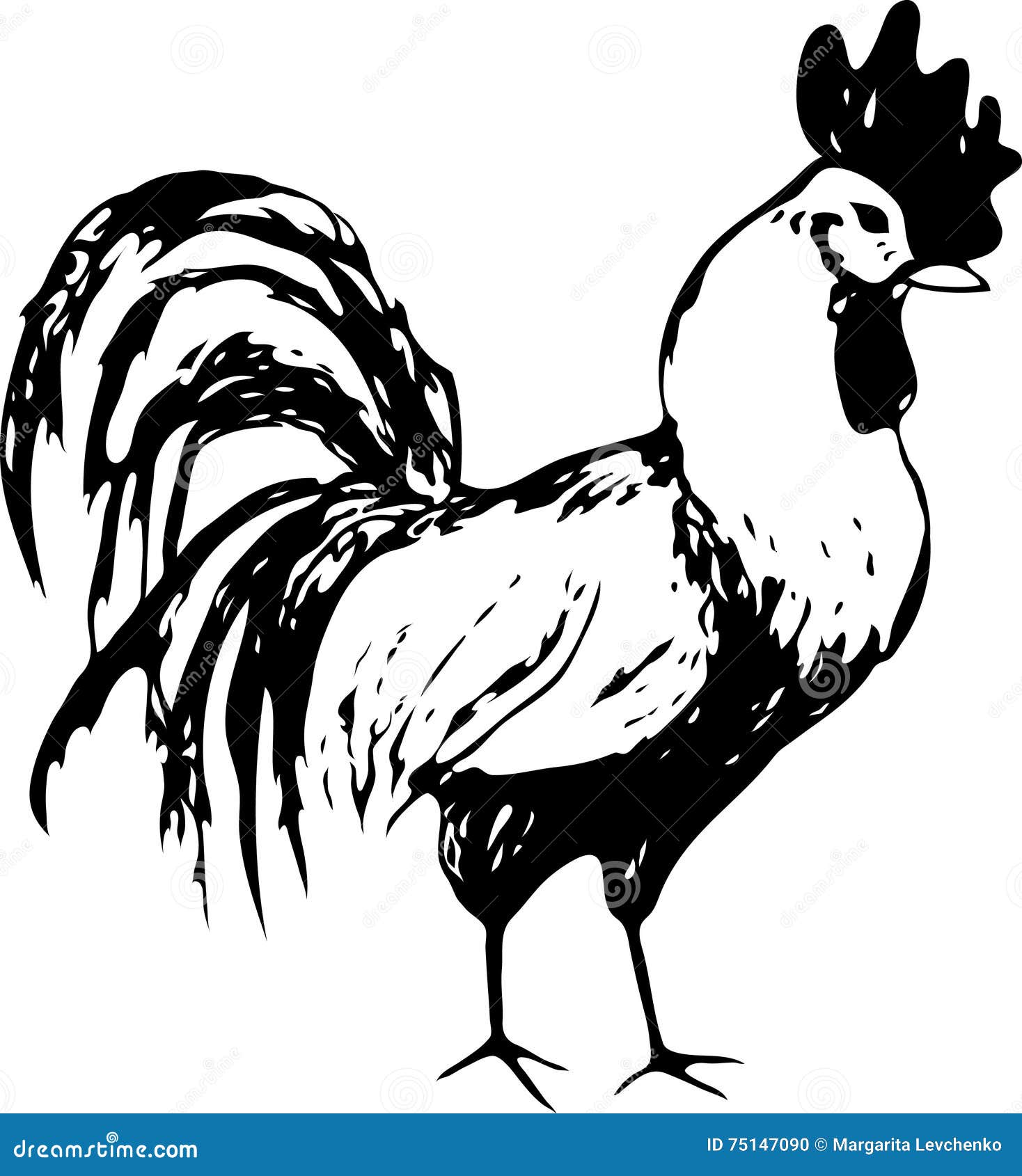 Illustration Avec L image D un Coq  En Noir  Et  Blanc  