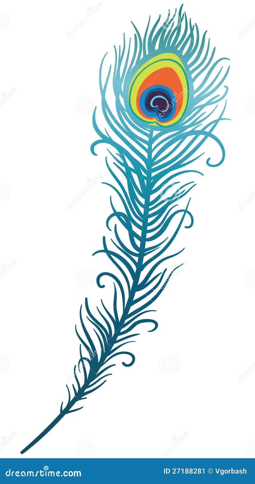 Illustration of Beautiful Peacock Feather Stock Vector ...