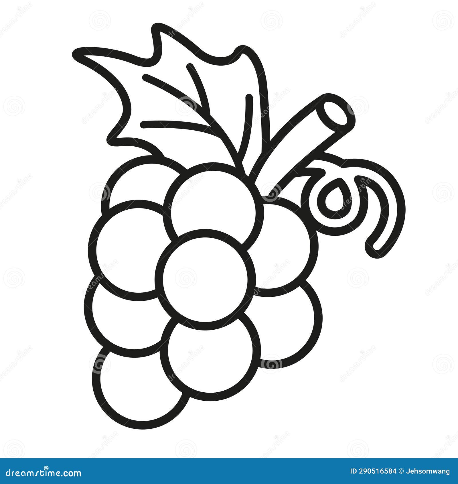 White Grapes Versus Red Grapes Vector Cartoon Illustration concord-grape-vines-for-sale-the-tree-center
