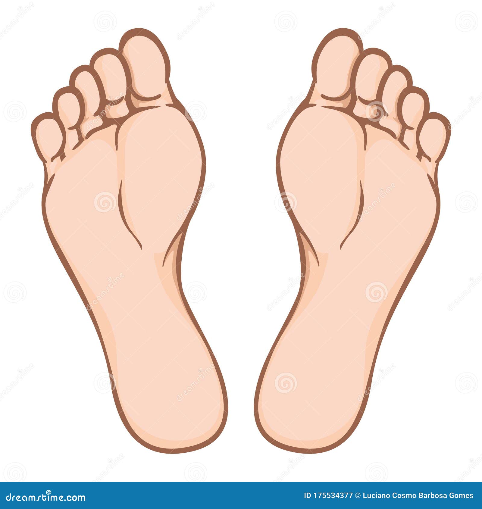 Figura Perenne quemar Illustration of Body Part, Plant or Sole of Right Foot, Caucasian Stock  Vector - Illustration of human, information: 175534377
