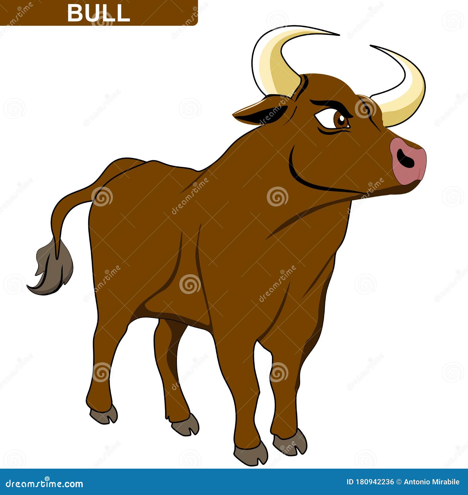  of a bull cartoon