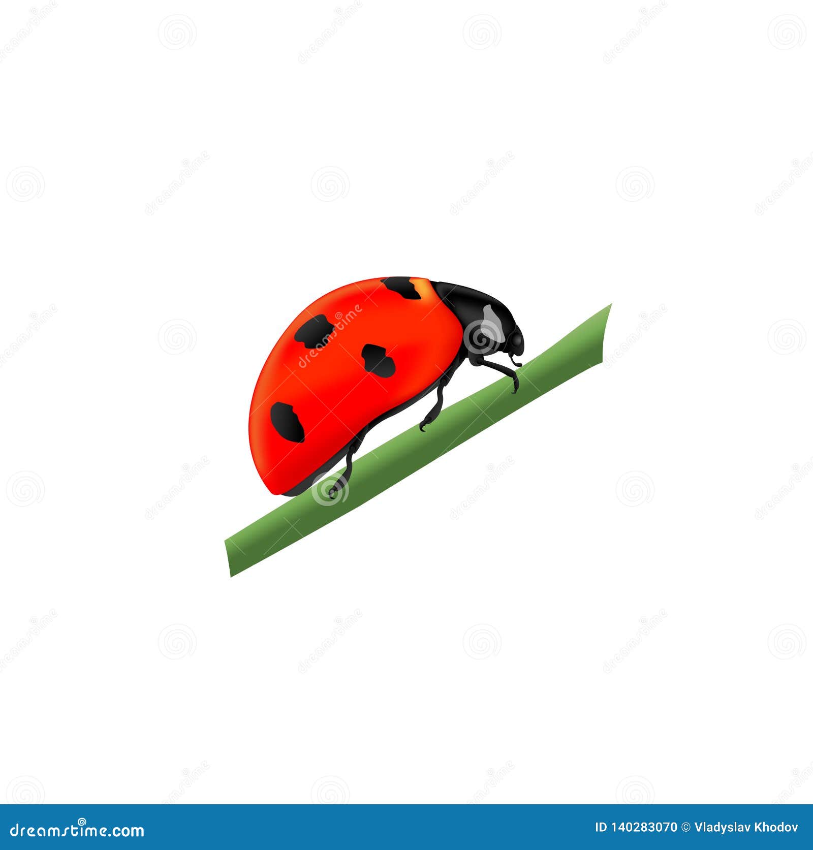 Featured image of post Ladybug Drawing Side View Mounting support dimensional drawing bottom view