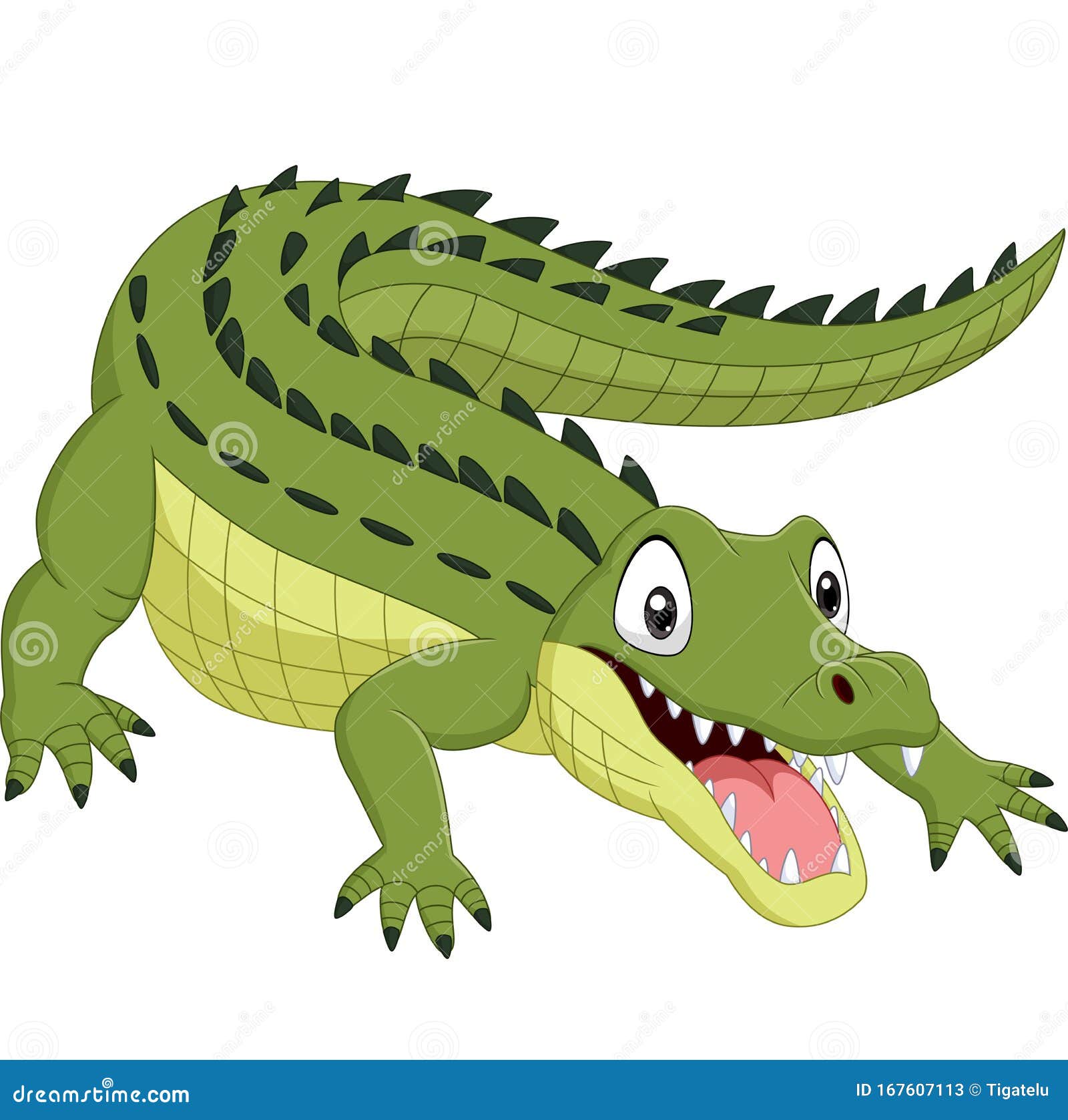 nile crocodile clipart image