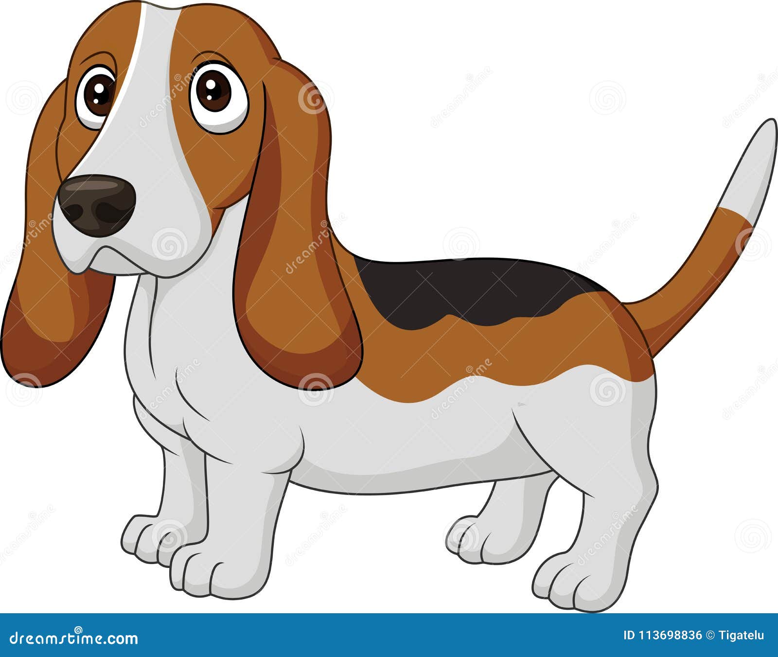 Cartoon Dog Basset Hound Isolated on White Background Stock Vector