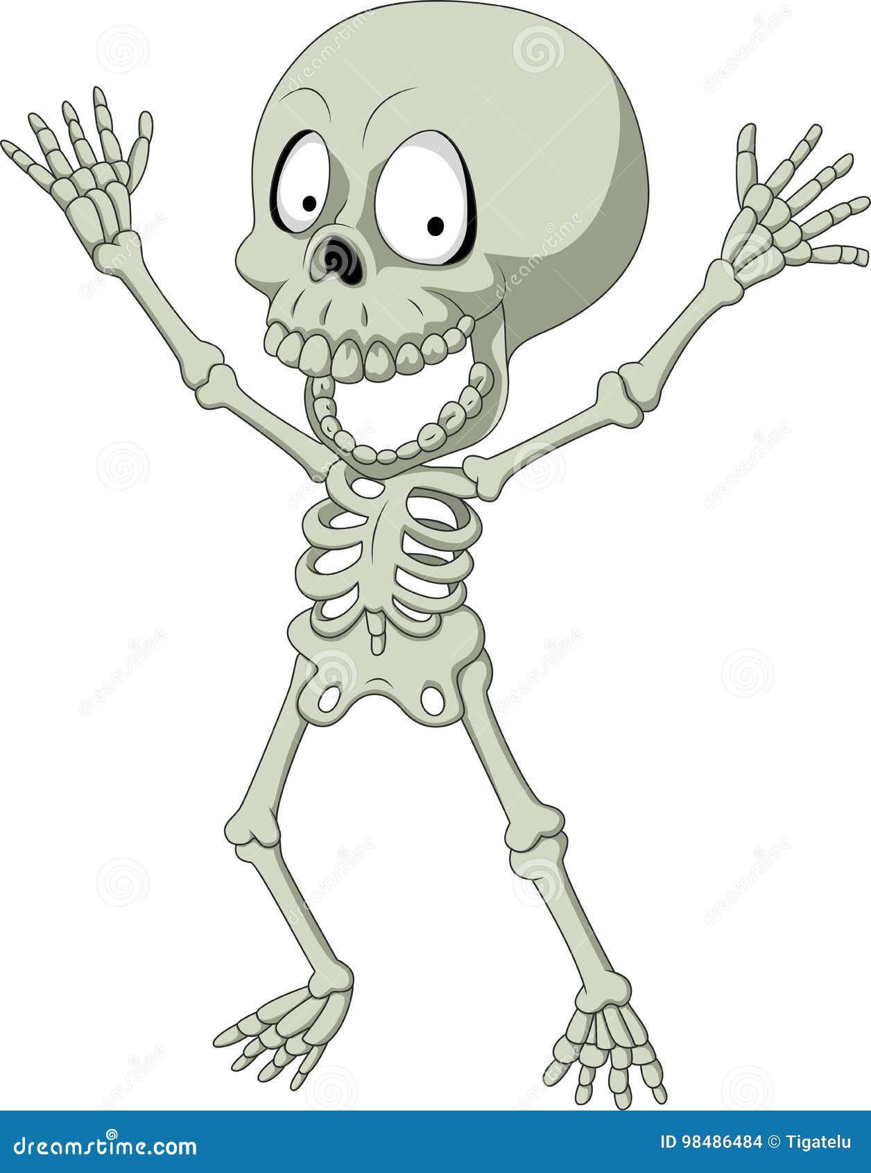 Cartoon Funny Human Skeleton Stock Vector Illustration