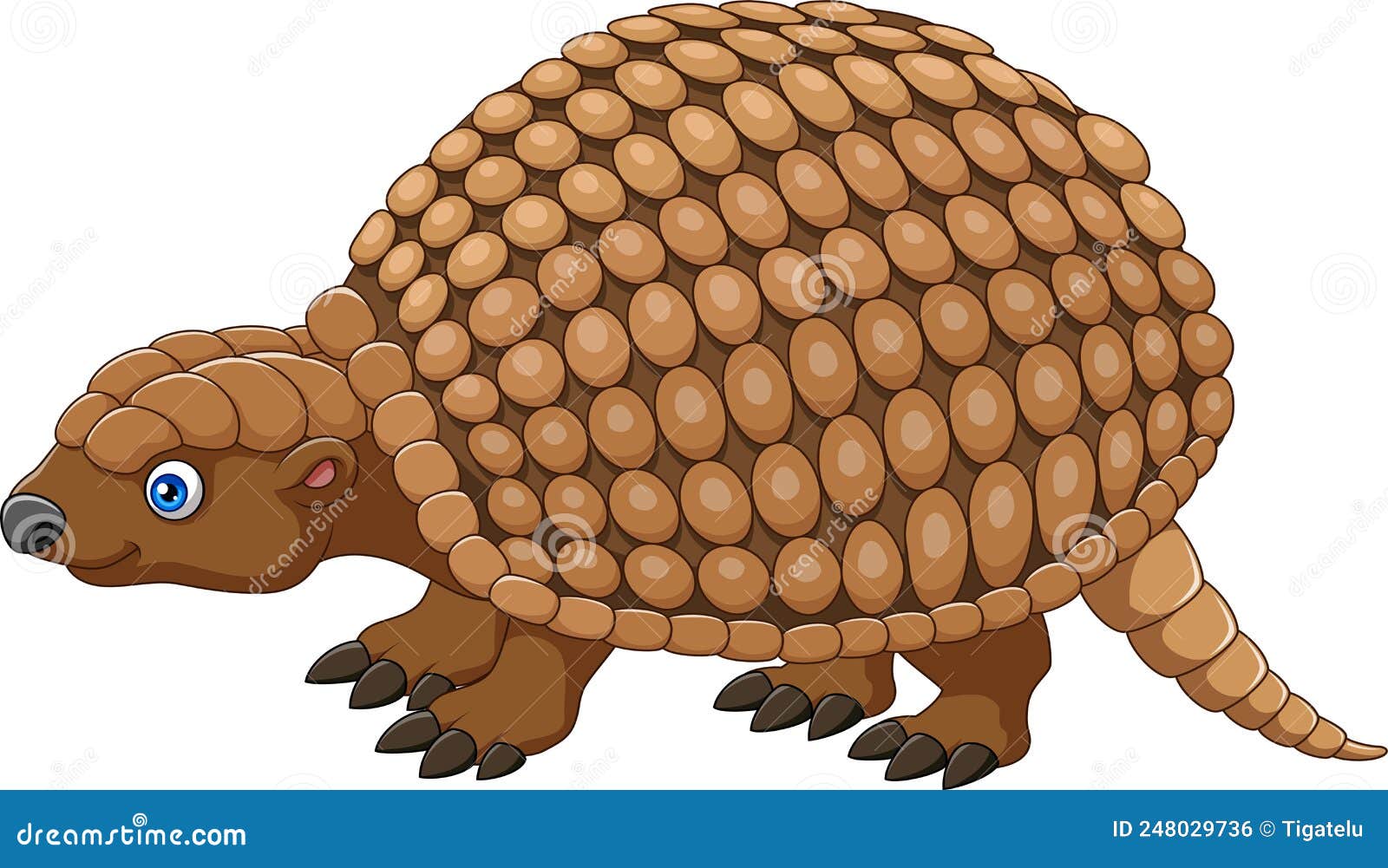 cartoon glyptodont on white background