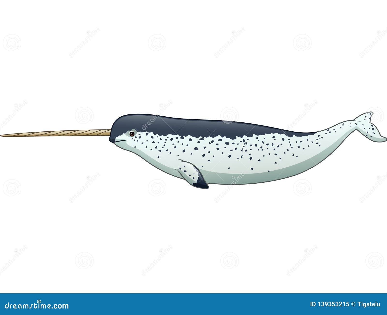 cartoon narwhal  on white background