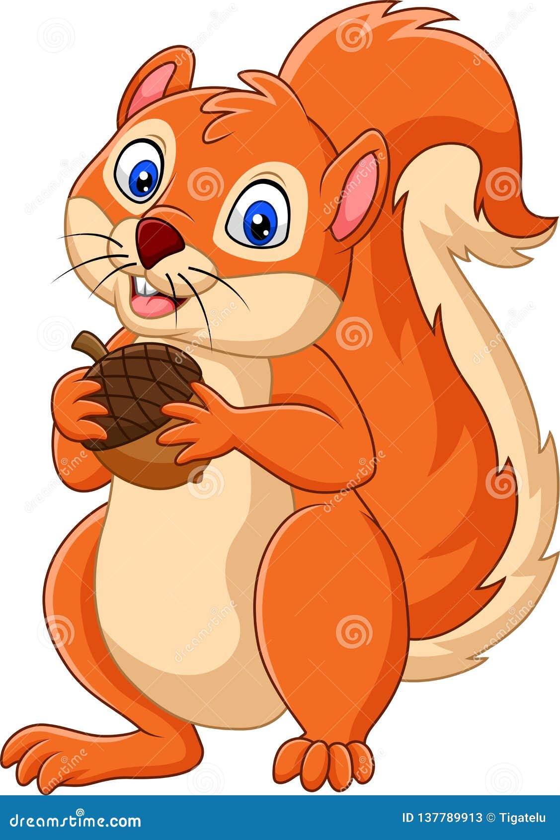 Cartoon Squirrel Holding Nut Stock Vector - Illustration of fluffy ...