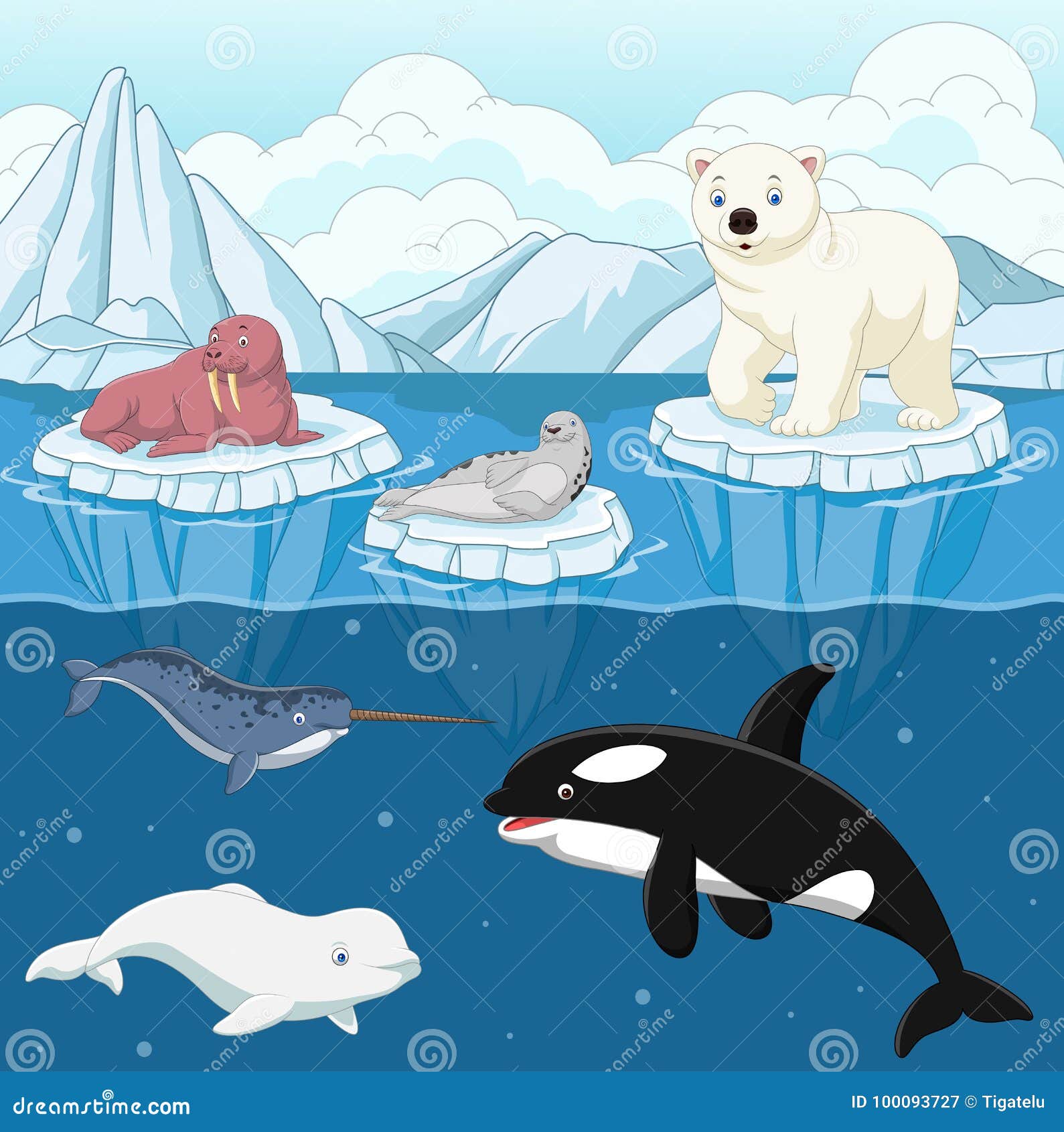 Polar Animals Arctic Fish Cartoon Characters Vector Funny Isolated Icons Stock Vector Image By C Sonulkaster 174441453