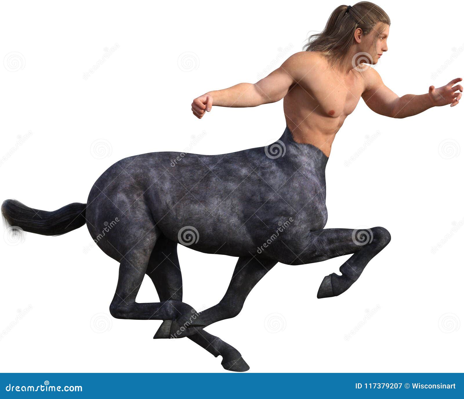 Centaur Half Man Horse Isolated Stock Image Illustration Of Horse Wildlife