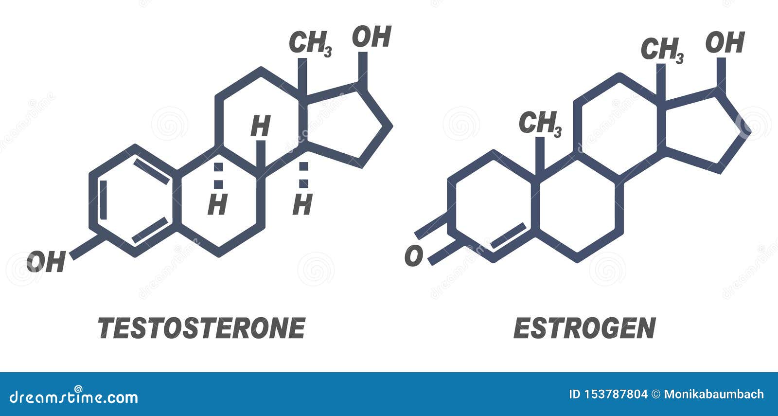 female hormones female hormones