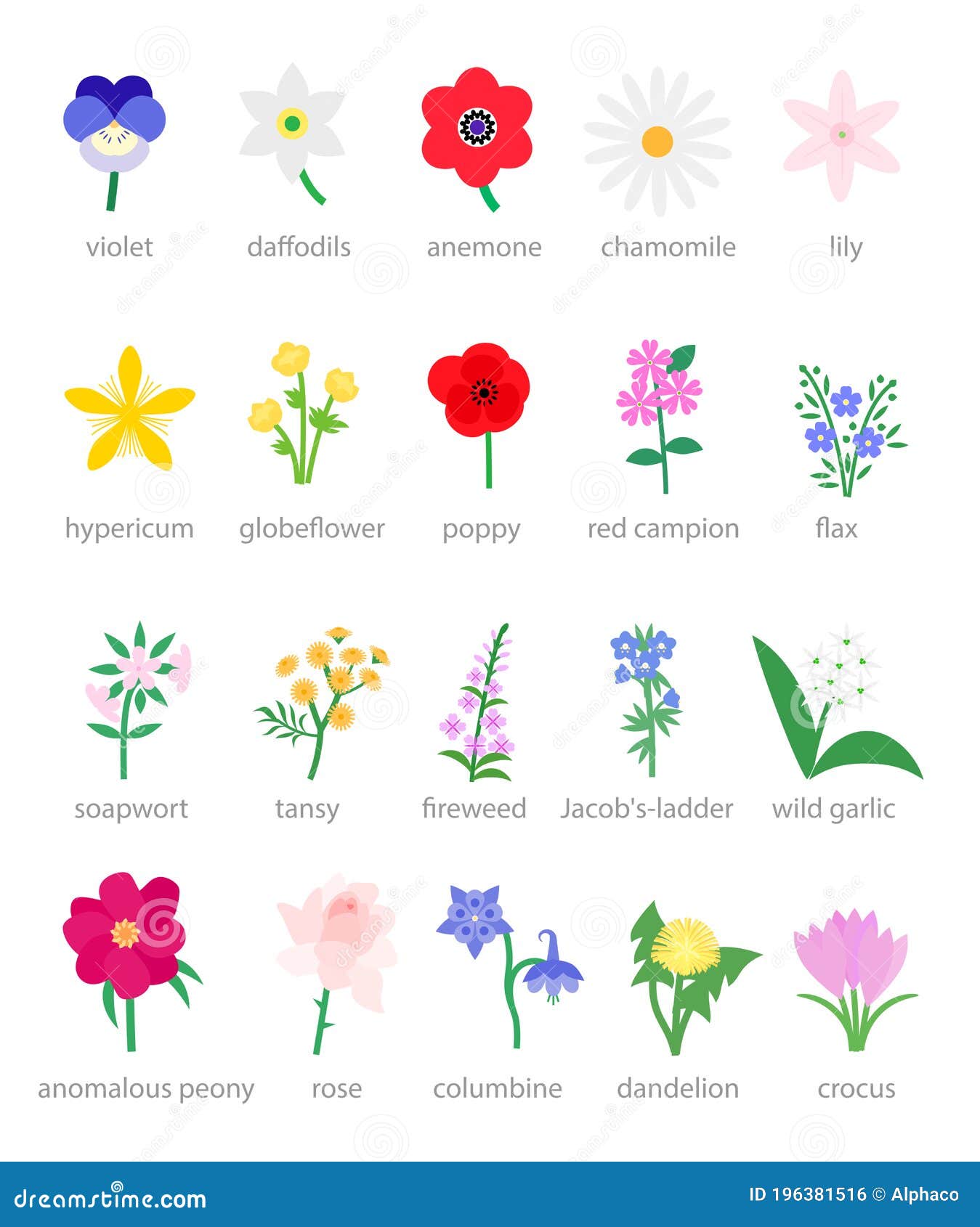 Wildflowers and Garden Flowers Vector Illustration Stock Vector ...