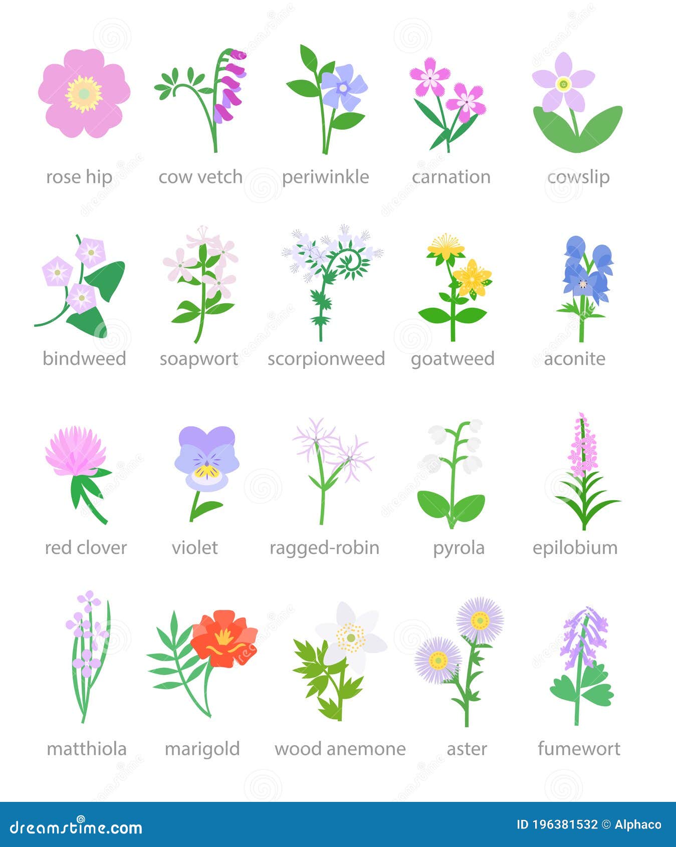 Wildflowers and Garden Flowers Vector Illustration Stock Vector ...