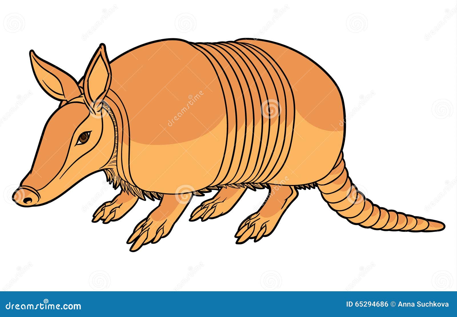 Illustration Of A Cute Armadillo Stock Vector - Image: 65294686