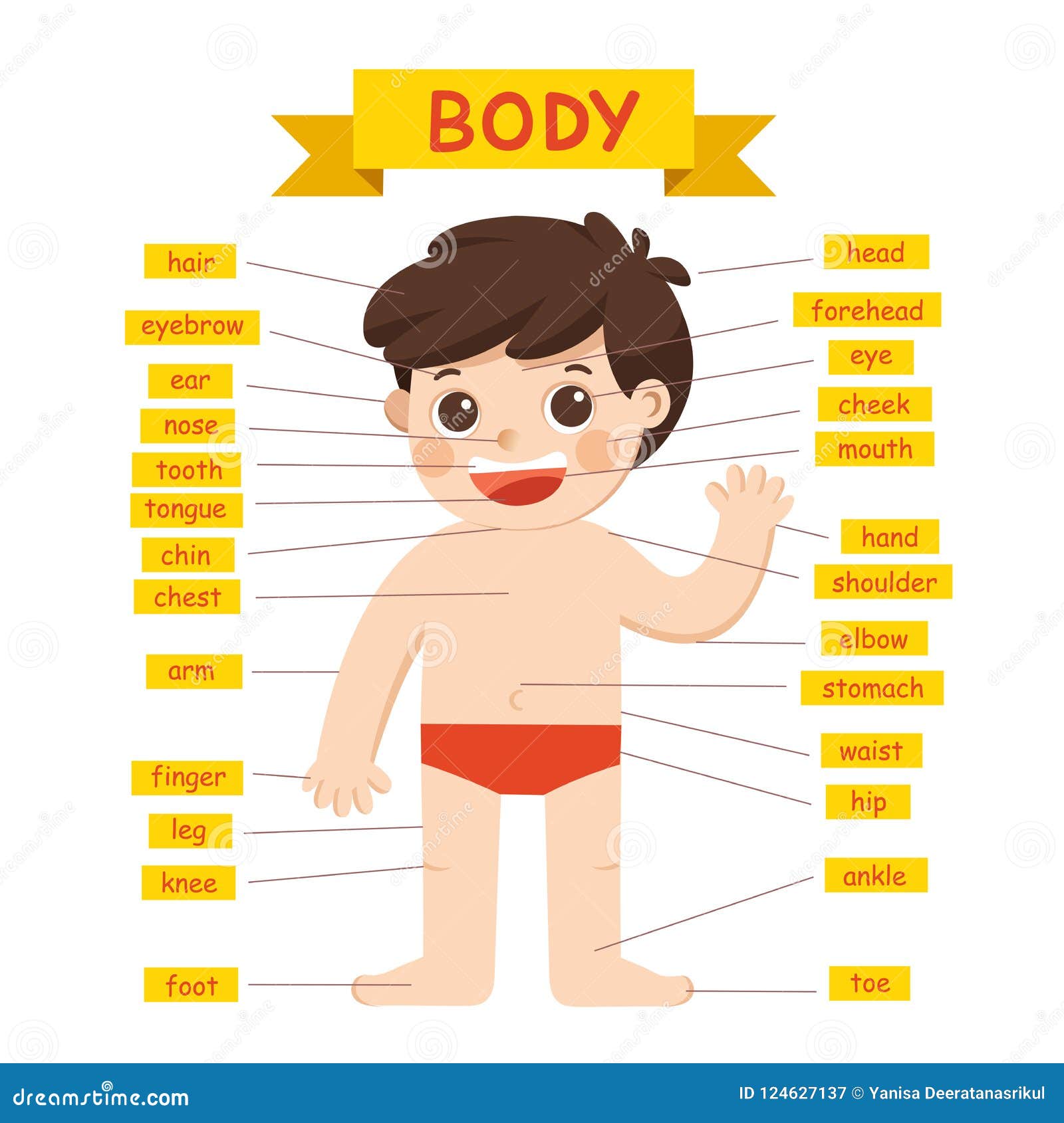 Illustration Of Boy Body Parts Diagram. Stock Vector ...