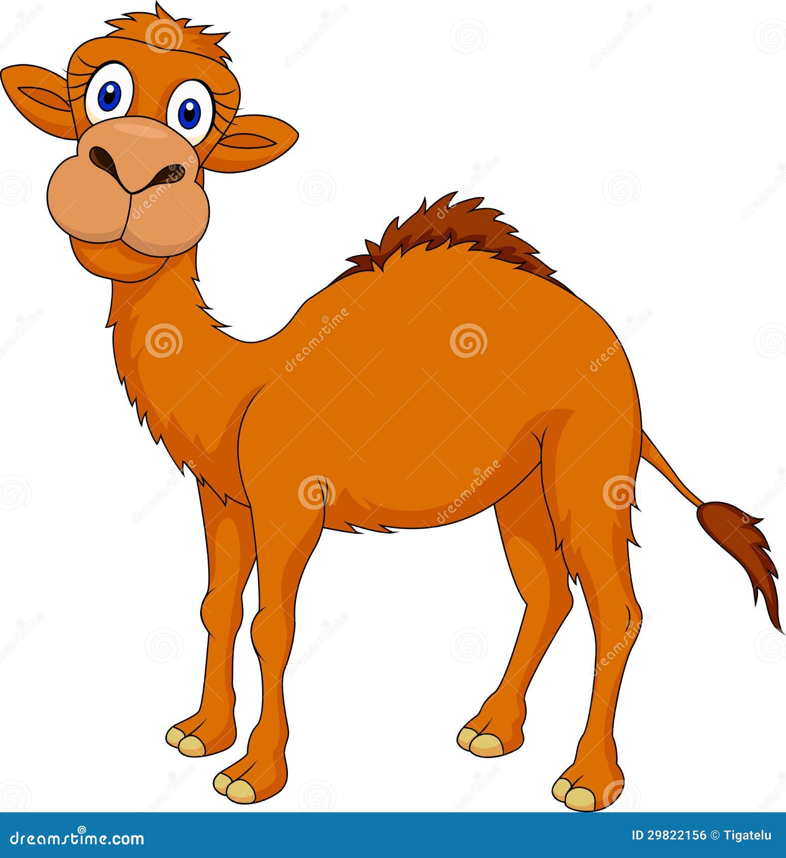 Cartoon Camel Stock Illustrations – 9,477 Cartoon Camel Stock  Illustrations, Vectors & Clipart - Dreamstime