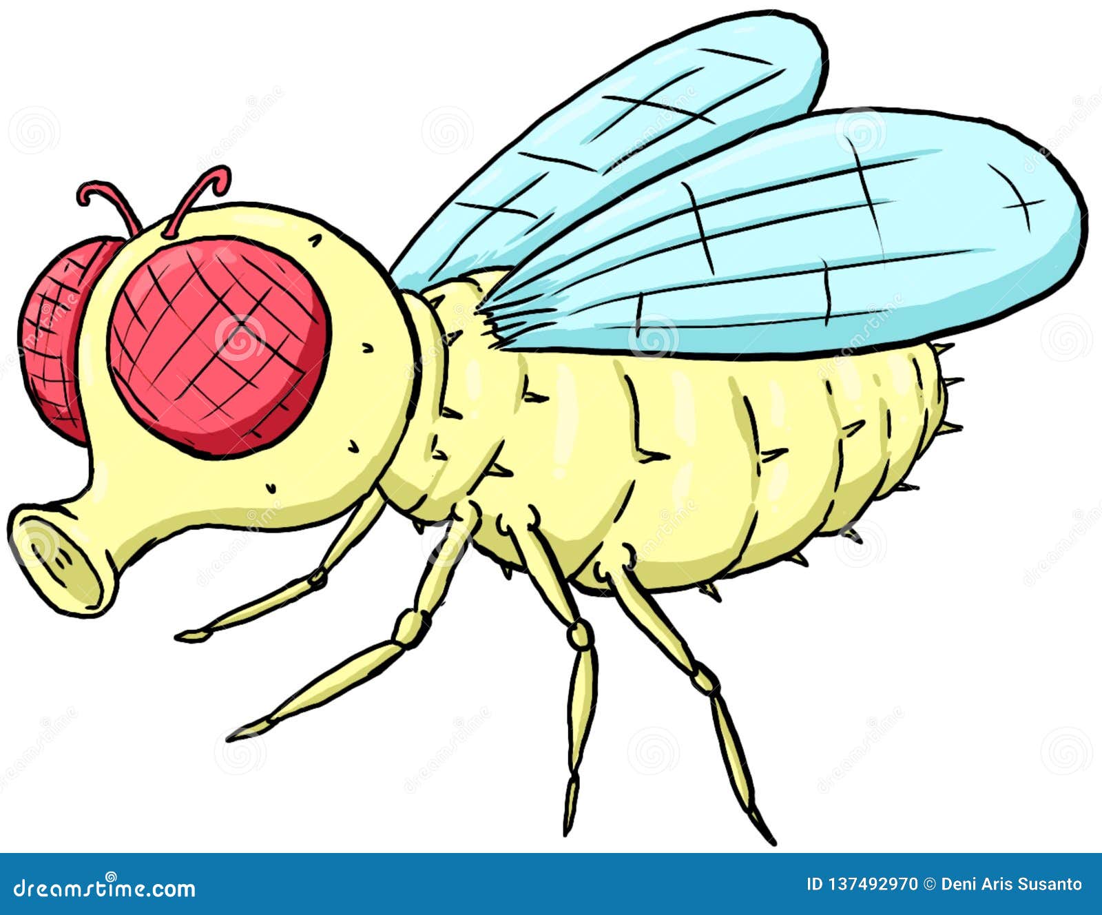 Illustration of Cute Fly Cartoon Isolated Stock Illustration - Illustration  of character, background: 137492970