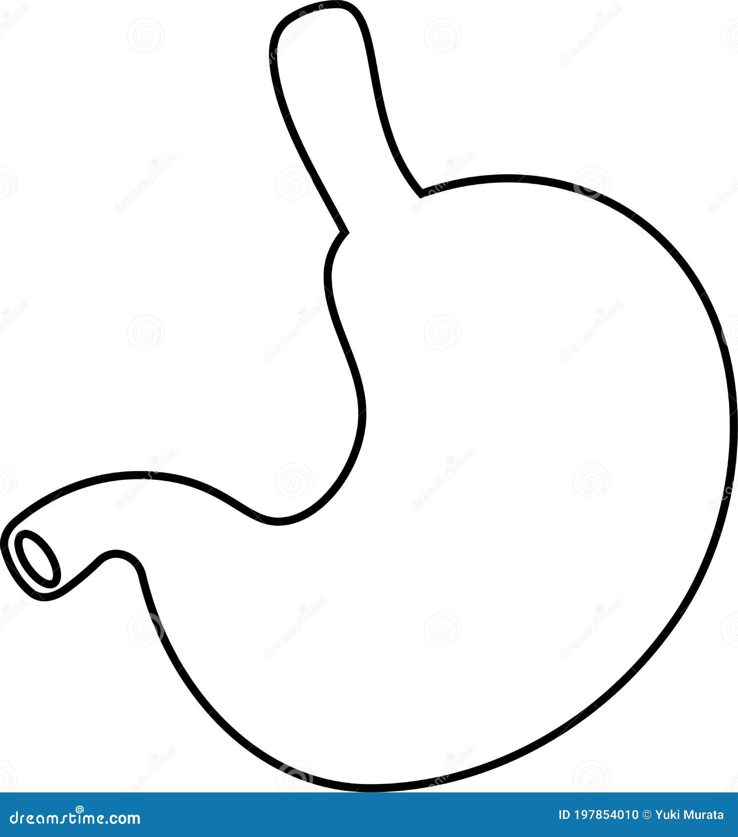 Illustration of a Cute Stomach Outline Stock Vector - Illustration of ...