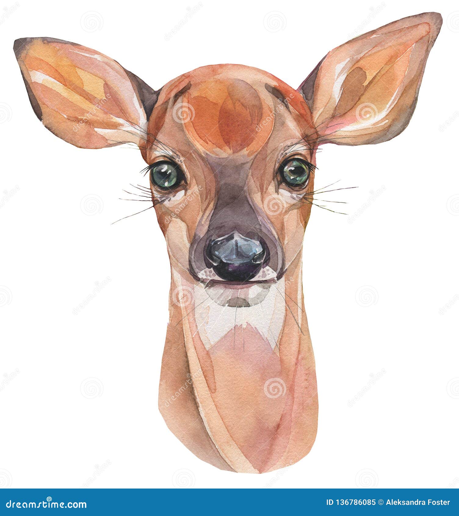 Illustration D Aquarelle Faon Mignon Tire Par La Main Peu Cerfs Communs Mignons De Bebe Illustration Stock Illustration Du Nature Retrait Illustration D Aquarelle Faon Mignon Tire Par La Main Peu Cerfs Communs Mignons De Bebe Illustration Stock Illustration Du Nature Retrait