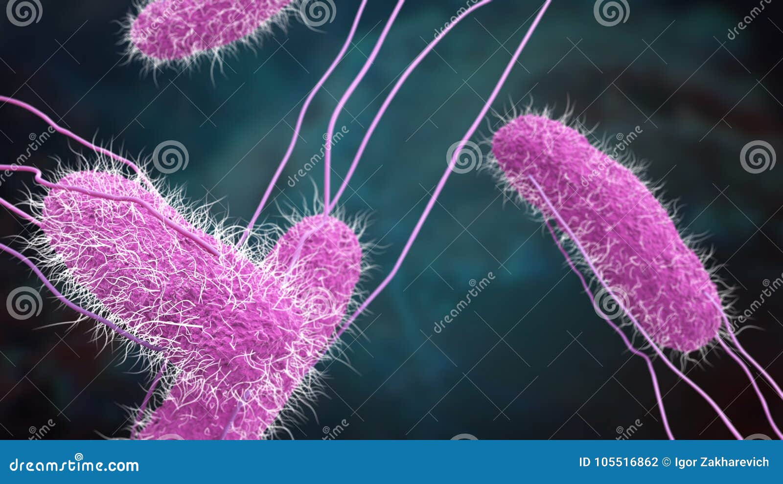 Illustration 3D Des Salmonellen-Bakterienmakroschusses Stock Abbildung