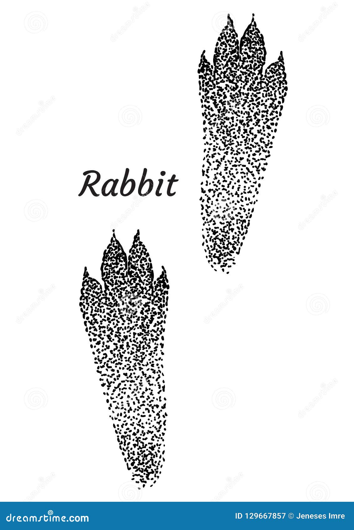 Empreintes de pas de lapin de Pâques, pattes de lapin de Pâques, impression  de patte de lapin svg eps dxf pdf -  France