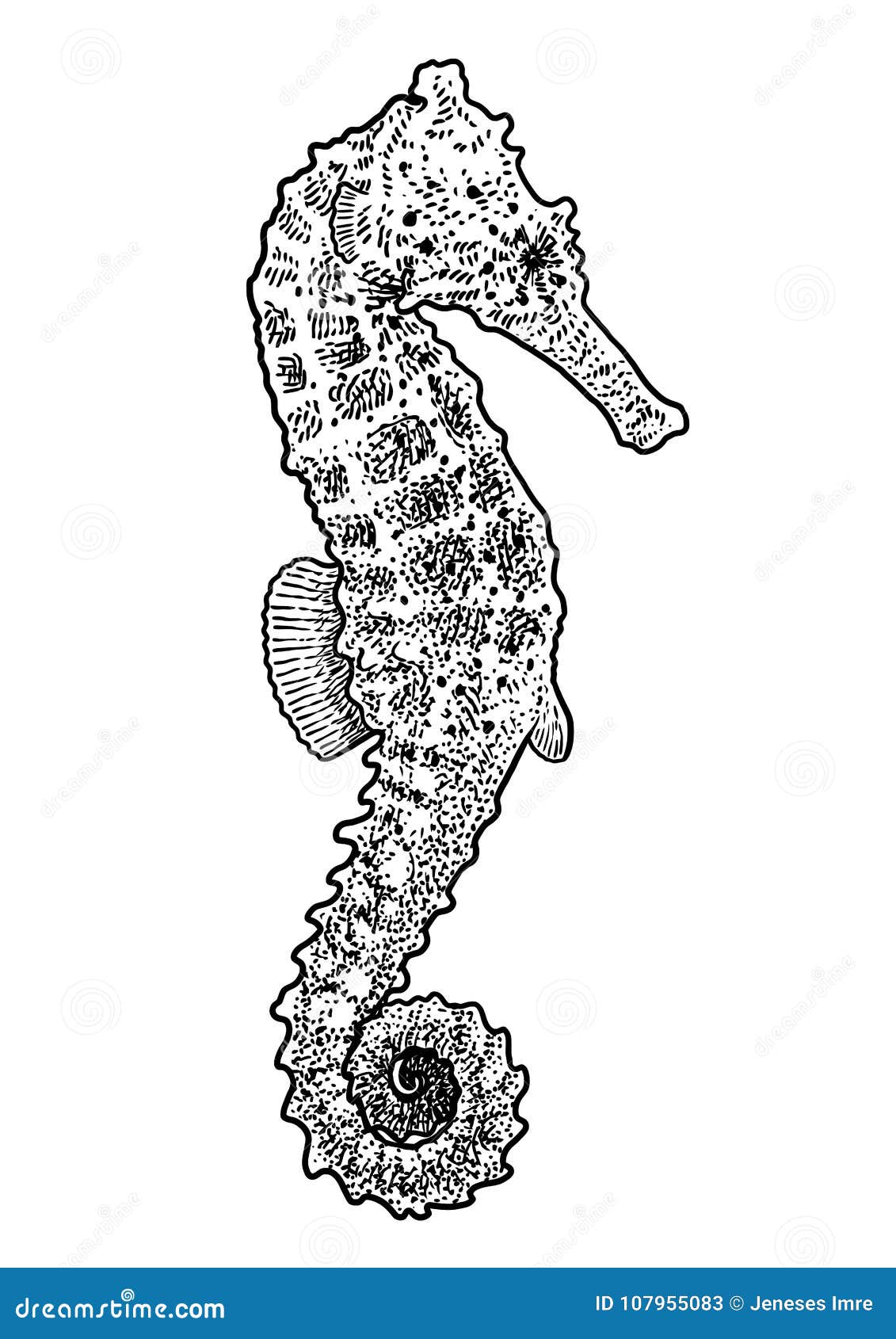 Illustration D Hippocampe Dessin Gravure Encre Schema Vecteur Illustration De Vecteur Illustration Du Retro Nature Illustration D Hippocampe Dessin Gravure Encre Schema Vecteur Illustration De Vecteur Illustration Du Retro Nature