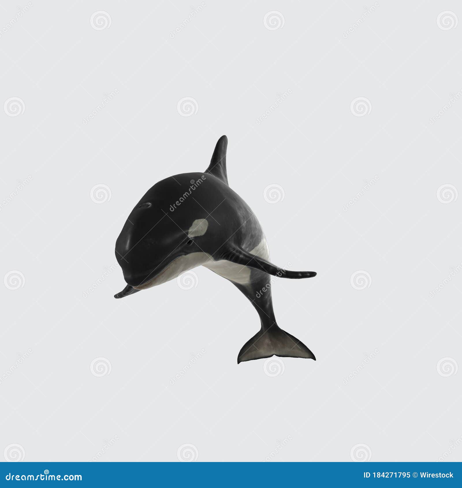 Illustration of a 3D Rendering View of a Killer Whale on a White