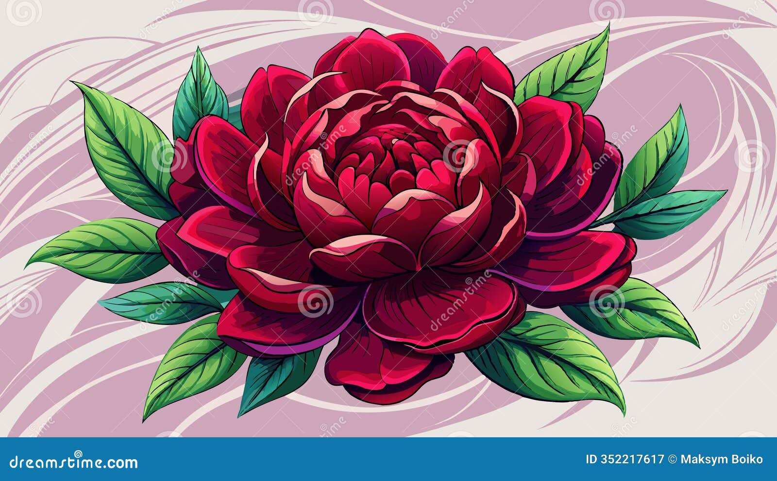  of a dark red peony set against a transparent background.