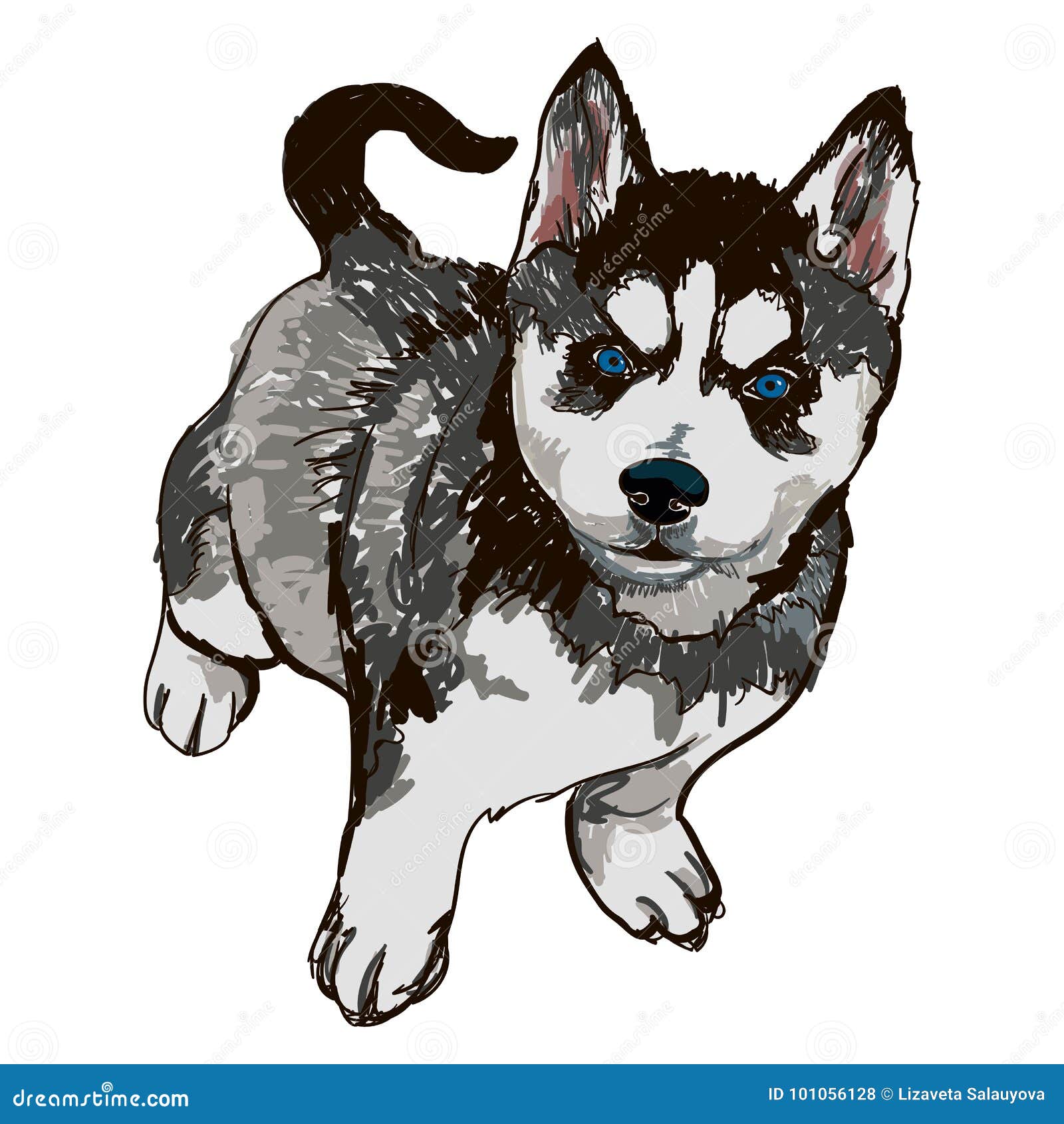 Illustration De Chien De Traîneau De Race De Race De Chien