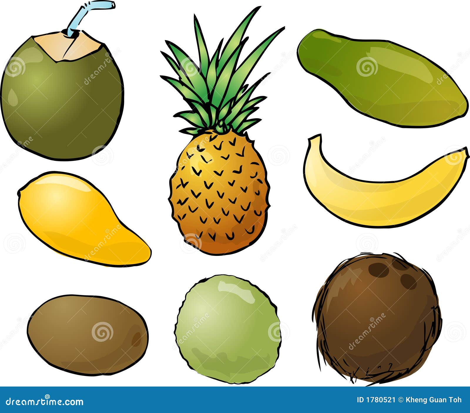 Illustration De Fruits Tropicaux Illustration de Vecteur Illustration