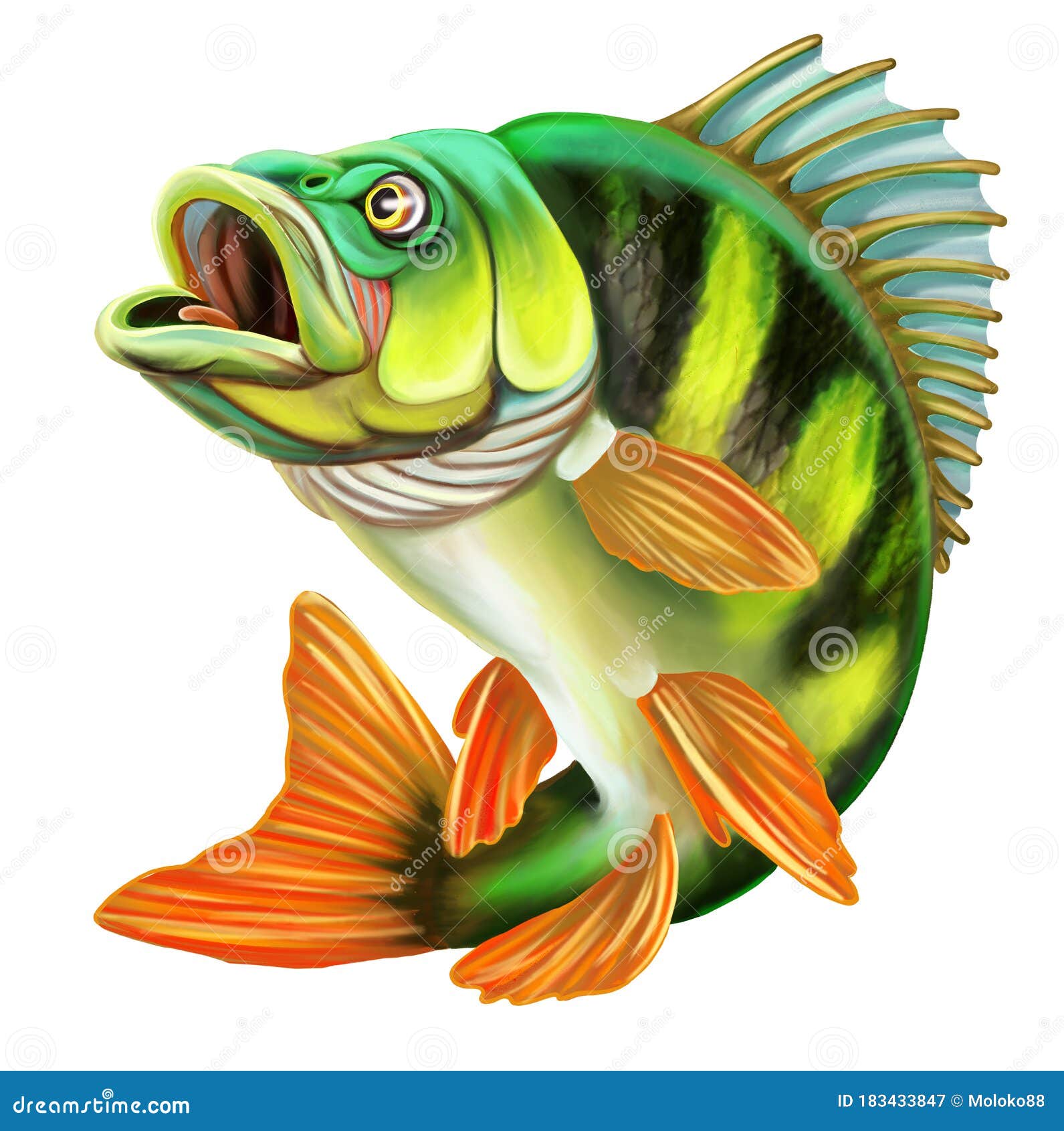 Perche poisson : 188 279 images, photos de stock, objets 3D et images  vectorielles