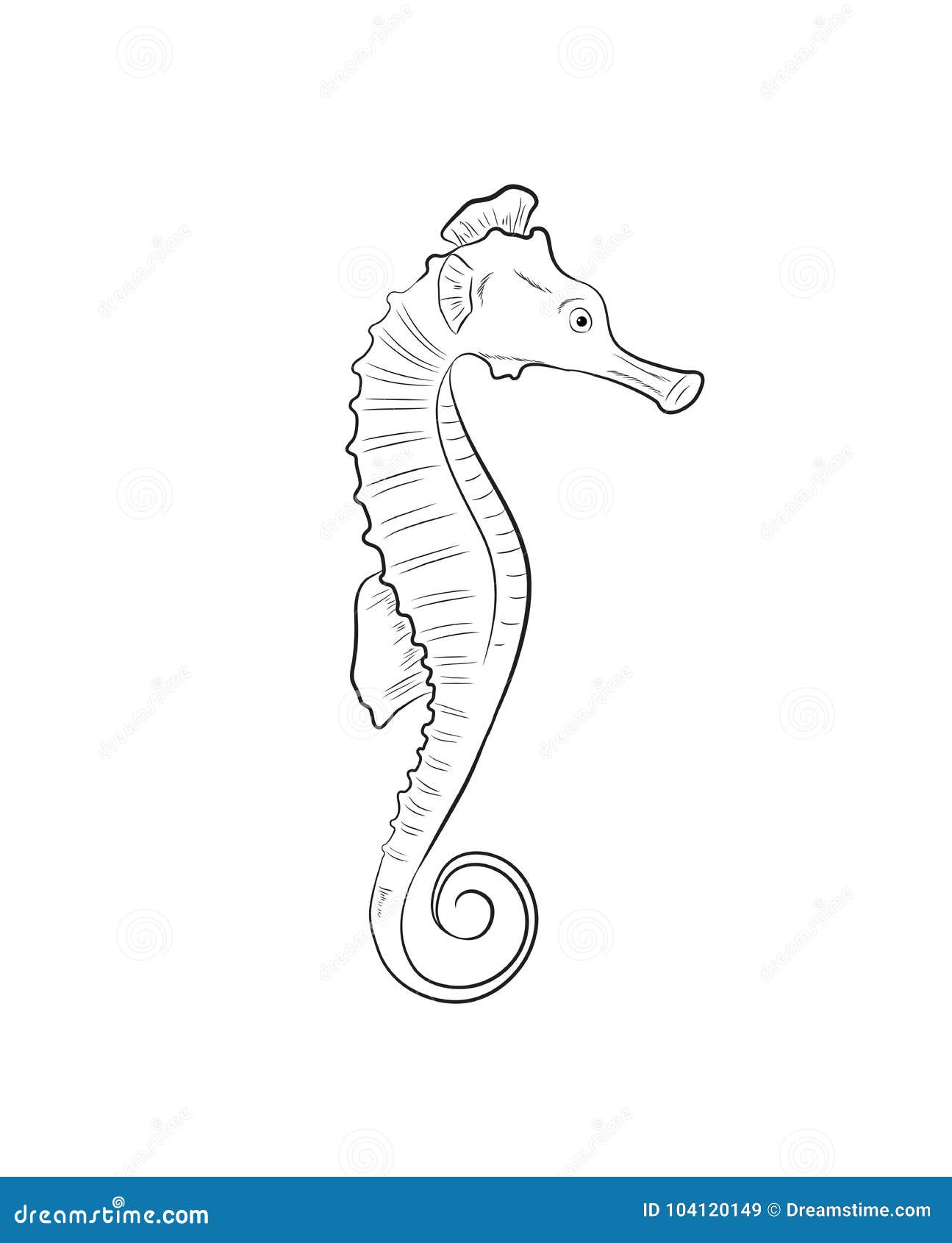 Illustration de vecteur de dessin d hippocampe