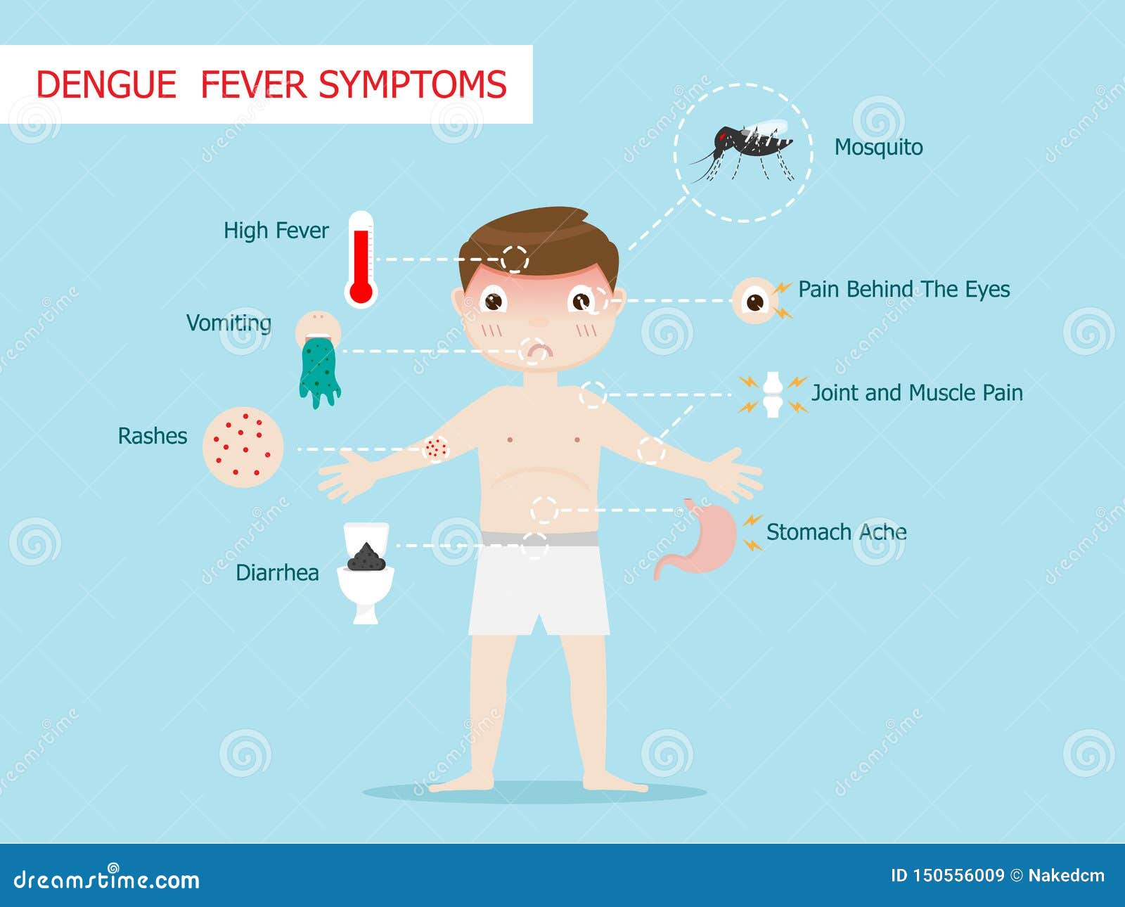 dengue fever symptoms infographics