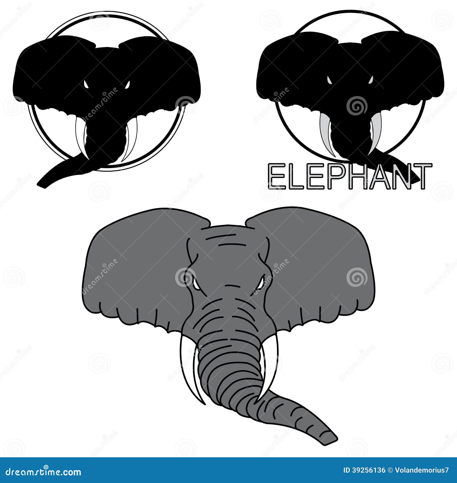Одетая голова слона