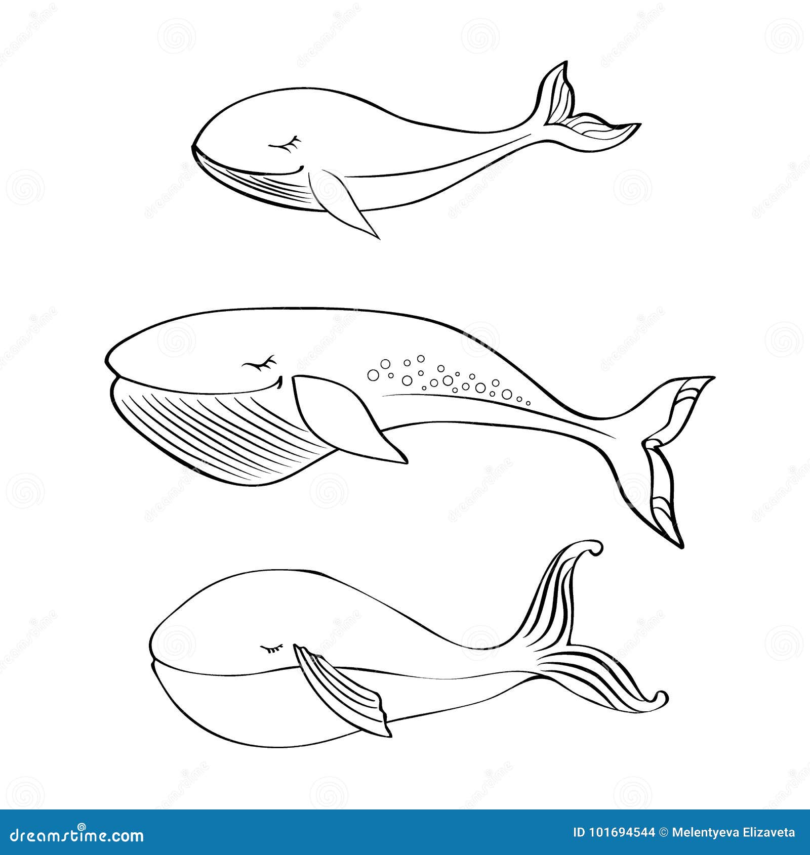 Illustration Drole De Bande Dessinee Mignonne De Baleine D Isolement Sur Le Fond Blanc Ligne Animal De Griffonnage Caractere De Illustration De Vecteur Illustration Du Silhouette Enfance Illustration Drole De Bande Dessinee Mignonne De Baleine D Isolement Sur Le Fond Blanc Ligne Animal De Griffonnage Caractere De Illustration De Vecteur Illustration Du Silhouette Enfance