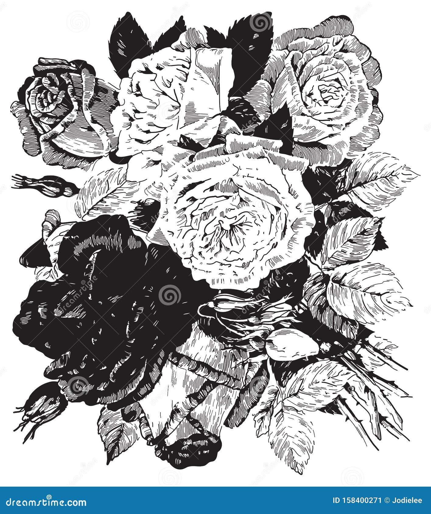 Illustration Du Bouquet De Fleurs De Rose Vectorielle En Noir Et Blanc  Illustration de Vecteur - Illustration du noir, fleur: 158400271