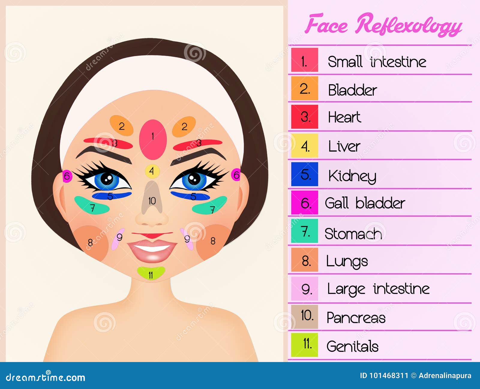 Face Reflexology Chart Printable
