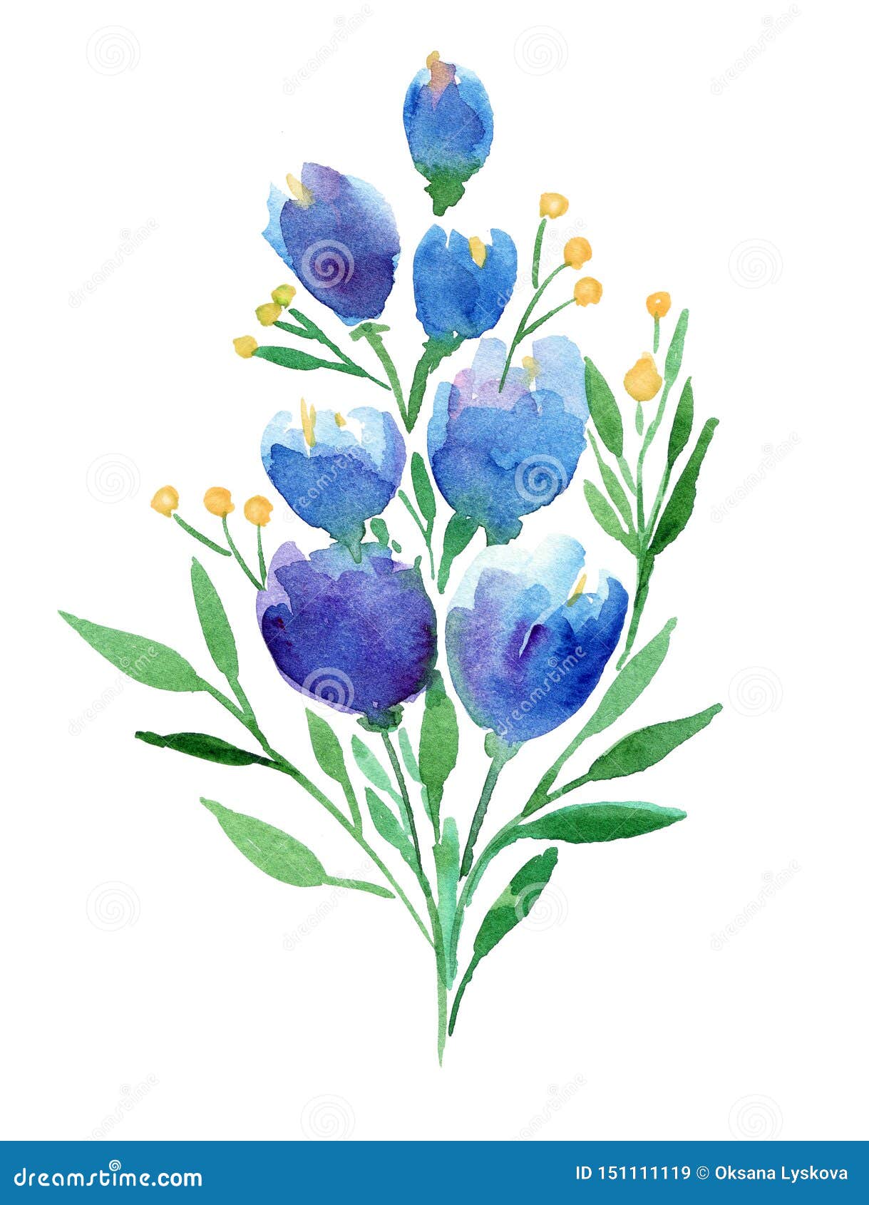 Illustration Florale D'aquarelle De Boho De Dessin De Main Avec Les Fleurs  Bleues, Branches, Feuilles Illustration Stock - Illustration du flore, fleur:  151111119