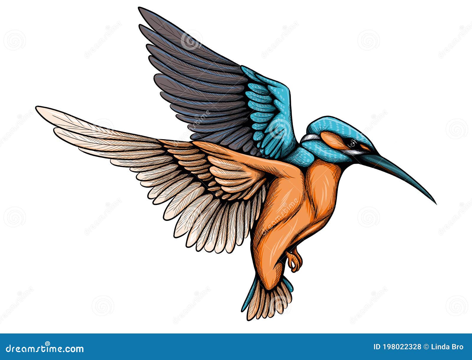 Common kingfisher Sketch vs painting by MagdaSleboda on DeviantArt