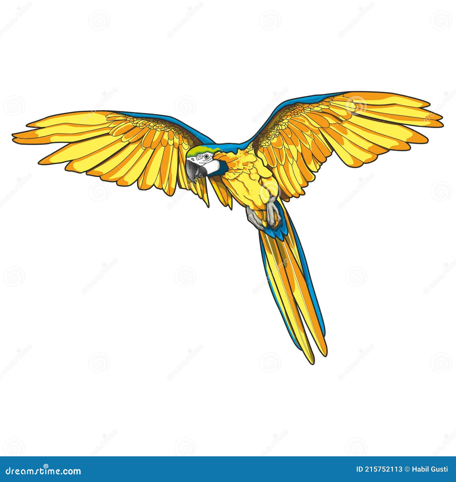 Illustration of a Flying Parrots Bird Stock Illustration Illustration