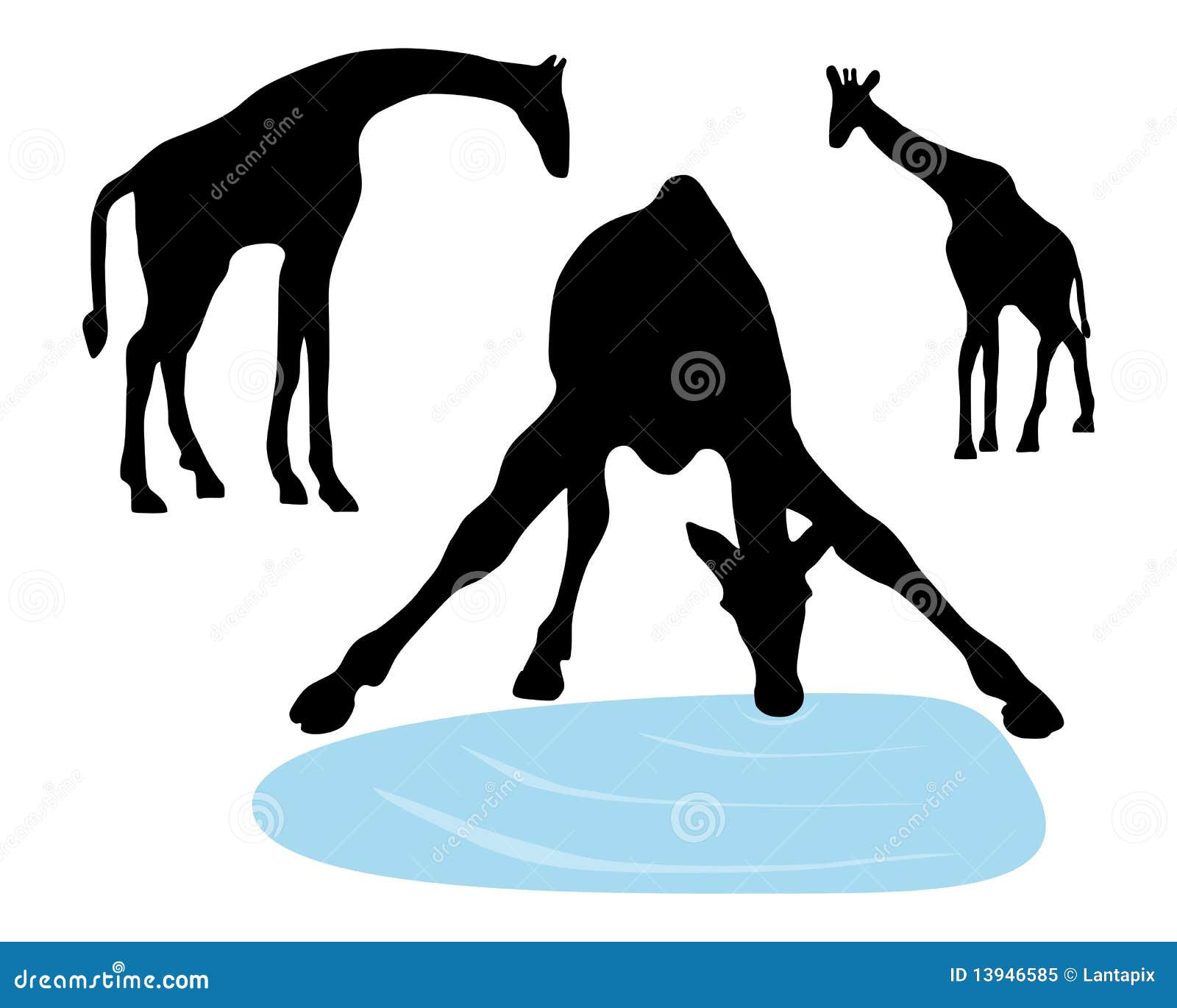 Giraffe Drinking Water Stock Illustrations – 21 Giraffe Drinking Water Stock Illustrations, Vectors & Clipart - Dreamstime Giraffe Drinking Water Stock Illustrations – 21 Giraffe Drinking Water Stock Illustrations, Vectors & Clipart - Dreamstime