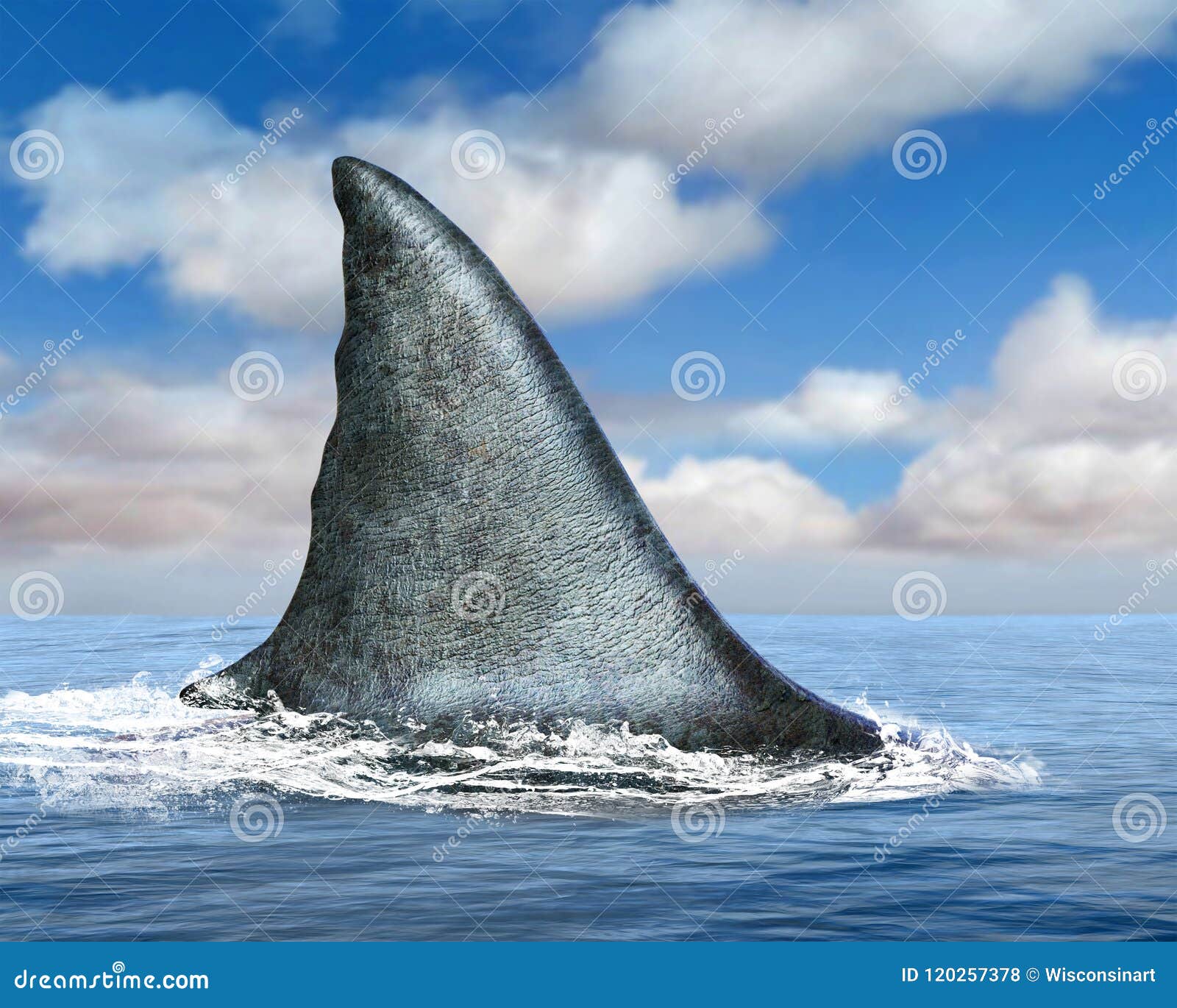 great white shark fin, ocean, sea