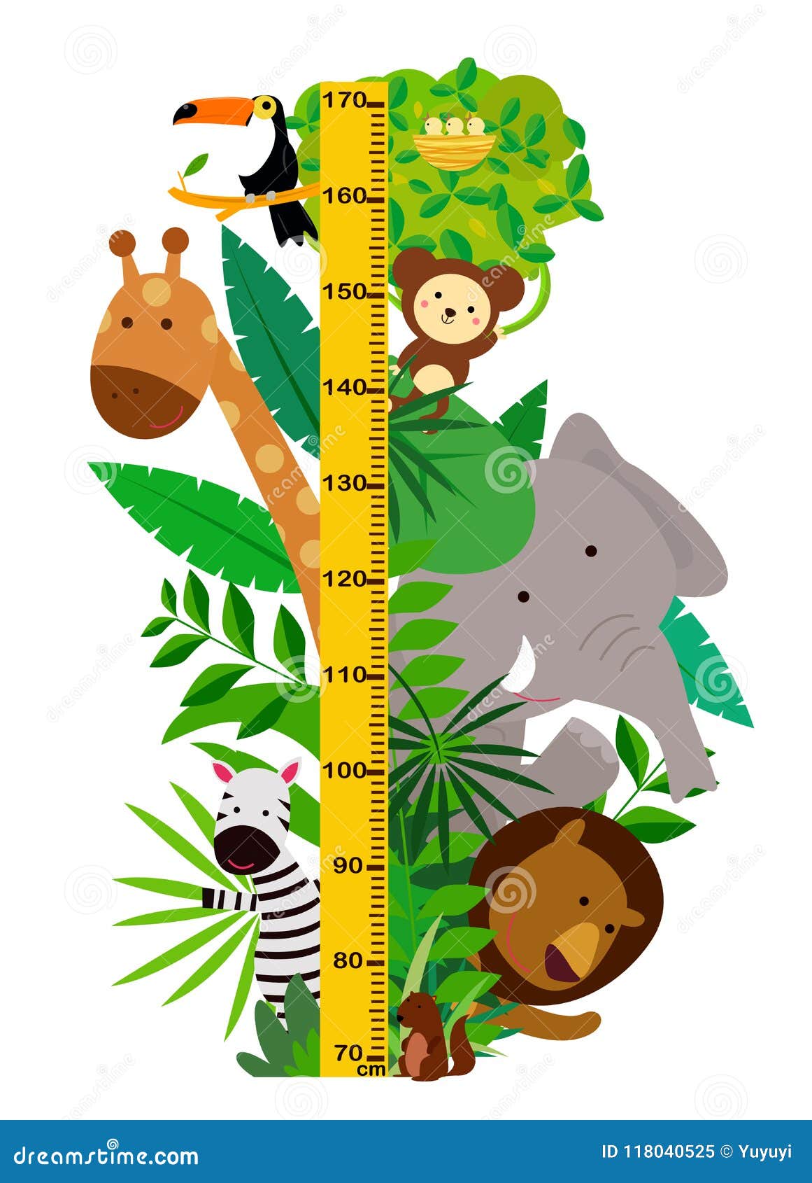 As As Animal Height Chart