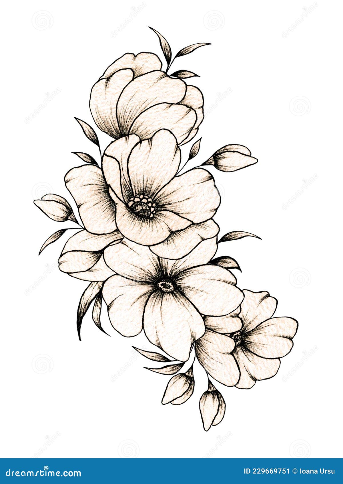 Vintage flower bouquet with big and small flowers, hand drawn botanical  illustration with line art flowers, black ink sketch florals great for  tattoo Stock Photo - Alamy