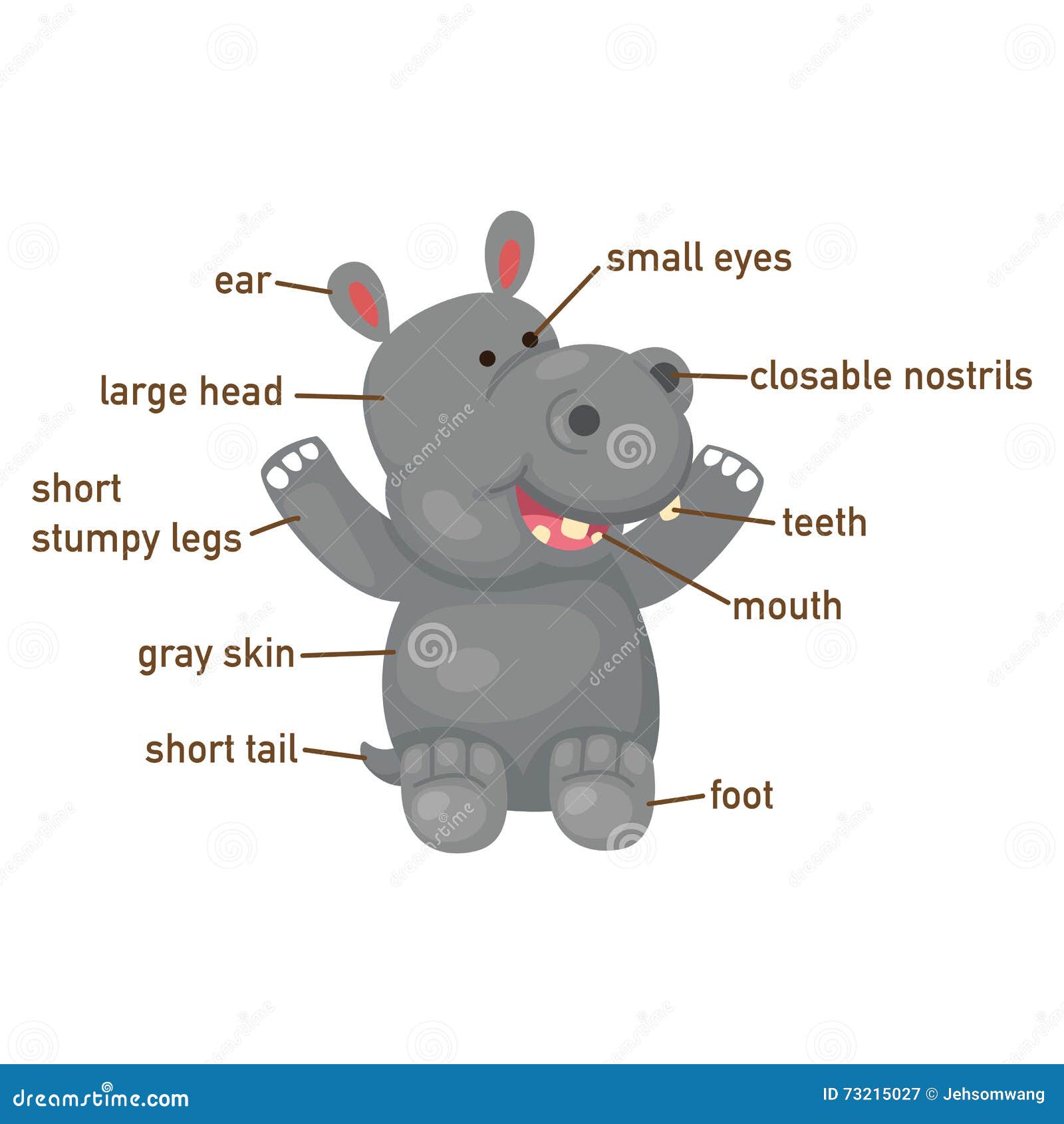 Illustration of Hippo Vocabulary Part of Body Stock Vector Illustration of nose, anatomy 73215027